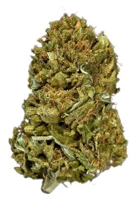 Durban X Super X - Hybrid Cannabis Strain