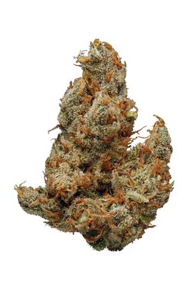 Dutch Hawaiian - Sativa Cannabis Strain