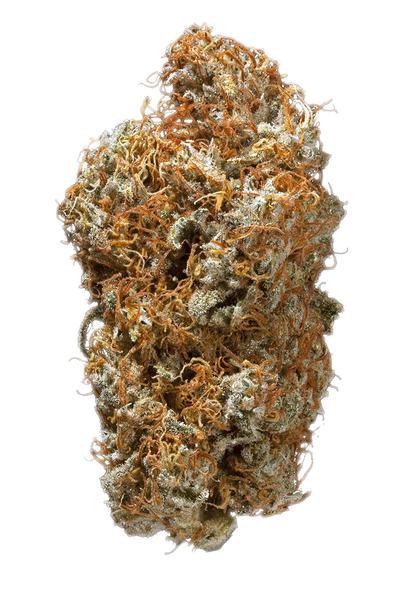 Ed Rosenthal - Hybrid Cannabis Strain