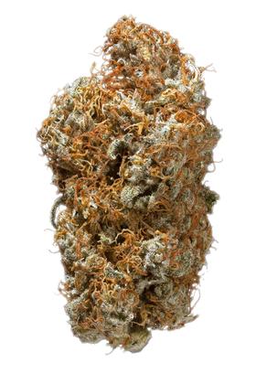 Ed Rosenthal - Hybrid Cannabis Strain