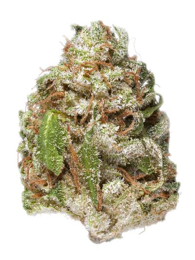 Edelweiss - Hybrid Cannabis Strain