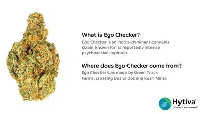 Ego Checker - Hybrid Strain