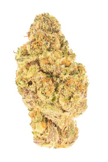 El Chivo #5 - Hybrid Cannabis Strain