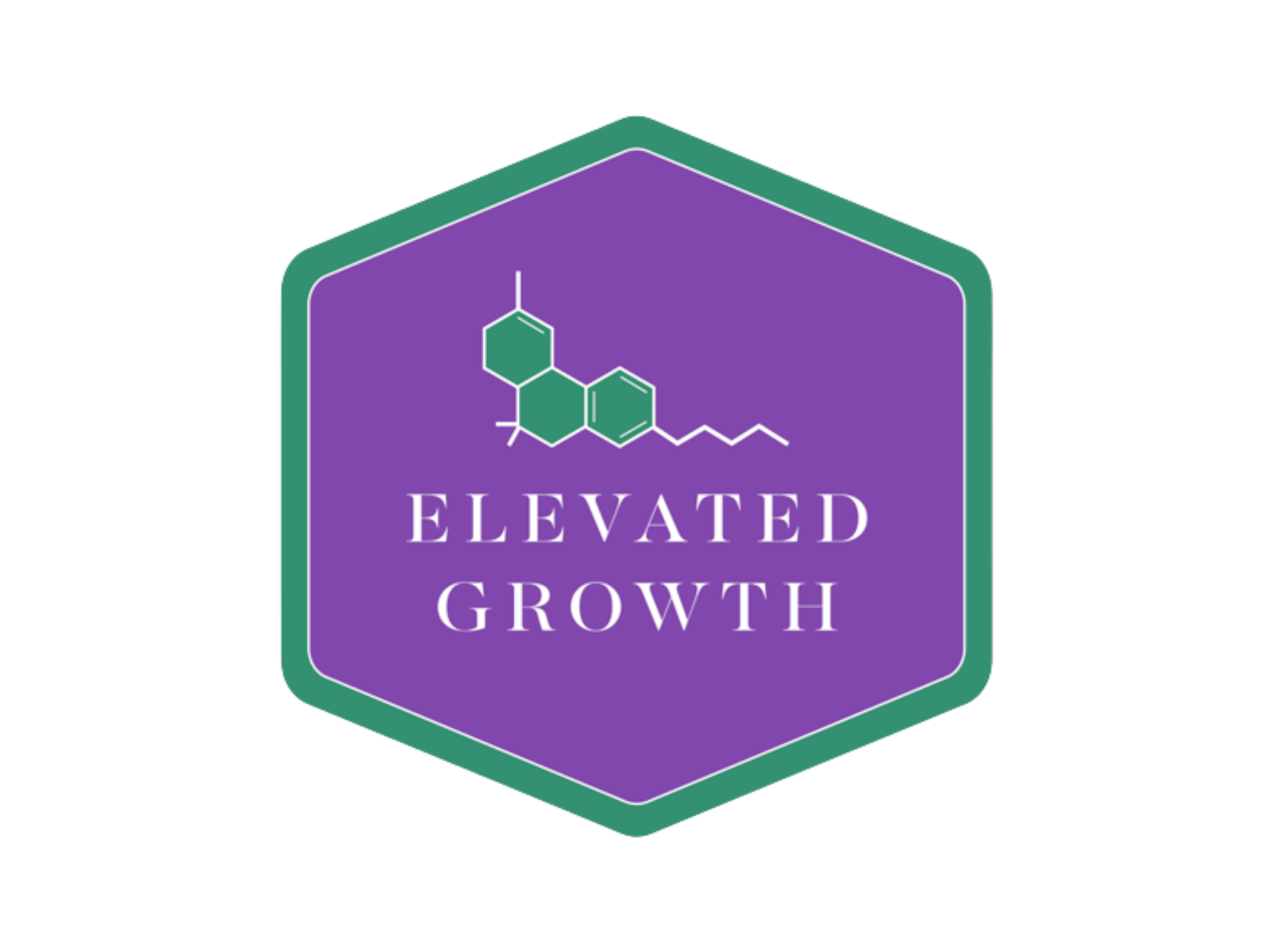 Elevated Growth Logo