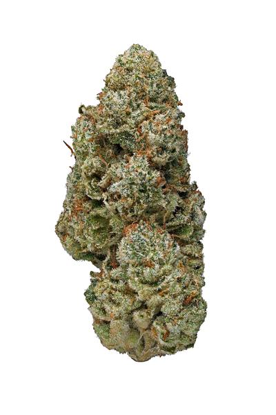 Elmer's Glue - Hybrid Cannabis Strain