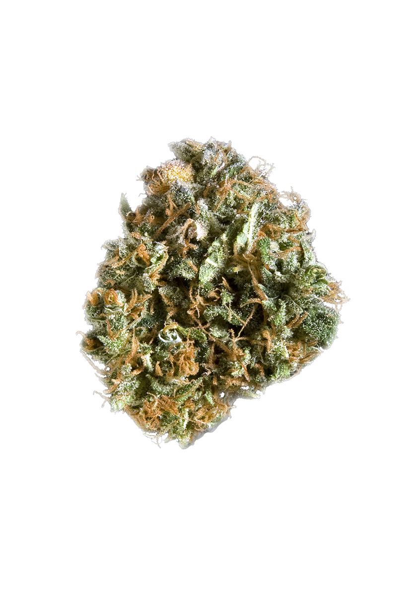 Elvis Strain - Hybrid Cannabis Review, CBD, THC : Hytiva
