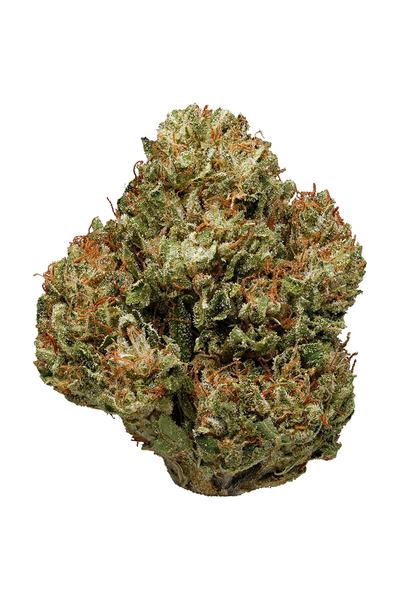 Emerald Cup OG - Hybrid Cannabis Strain