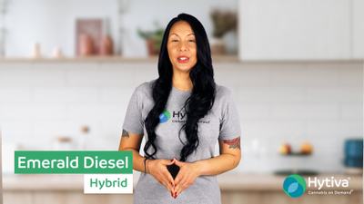 Emerald Diesel - Hybrid Strain