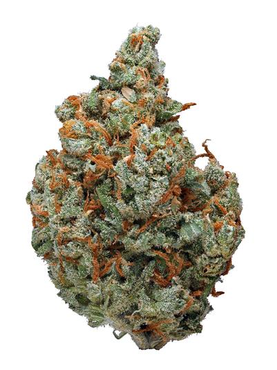 Emerald Jack - Sativa Cannabis Strain