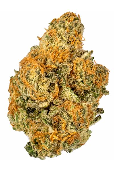 Endless Summer - Hybride Cannabis Strain