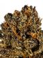 Equanimity Hybrid Cannabis Strain Thumbnail
