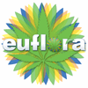 Euflora Logo