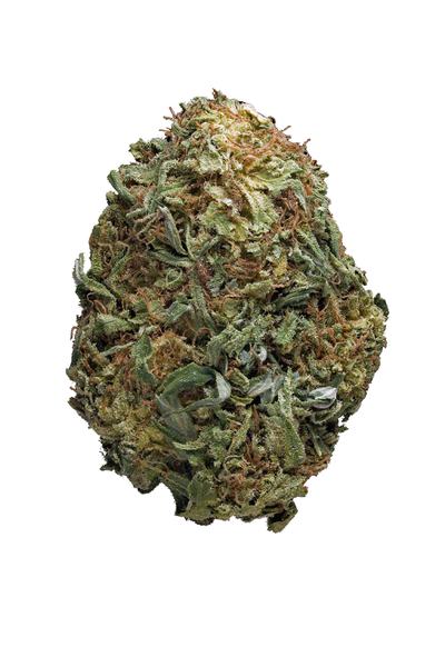 Ewok - Híbrida Cannabis Strain