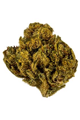 Eye of the Tiger - Híbrida Cannabis Strain