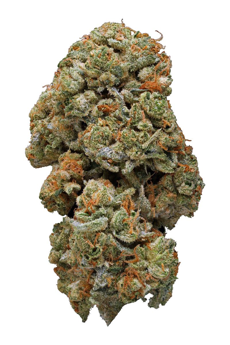 Face Off OG - Indica Cannabis Strain Review, THC : Hytiva