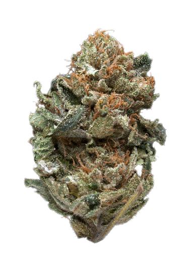 Fire Kush - Hybrid Cannabis Strain