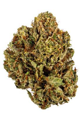 Fire OG King - Híbrida Cannabis Strain