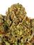 Fire OG King Hybrid Cannabis Strain Thumbnail