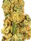 First Class Funk Hybrid Cannabis Strain Thumbnail