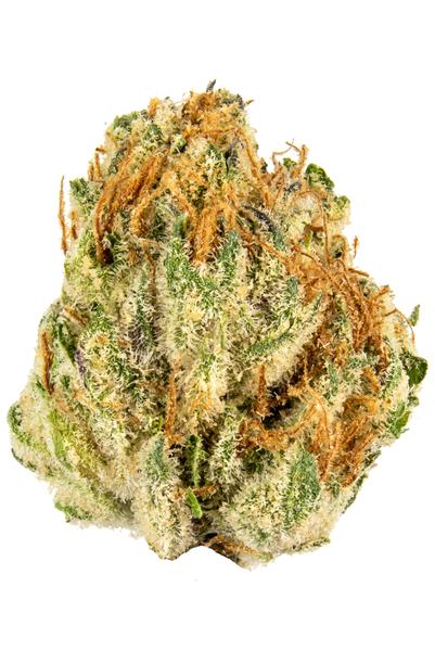 Flo White #7 - Hybrid Cannabis Strain