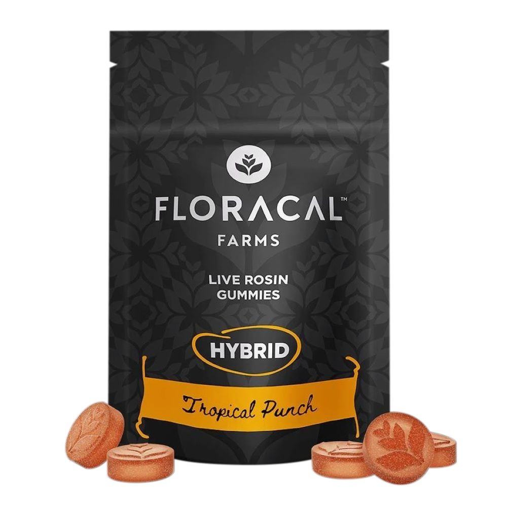Tropical Punch Hybrid Live Rosin Gummies Product Image