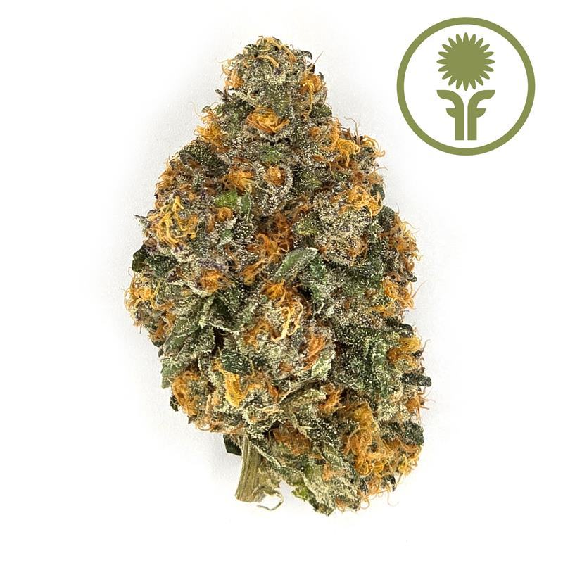 Havana Kush Product Image