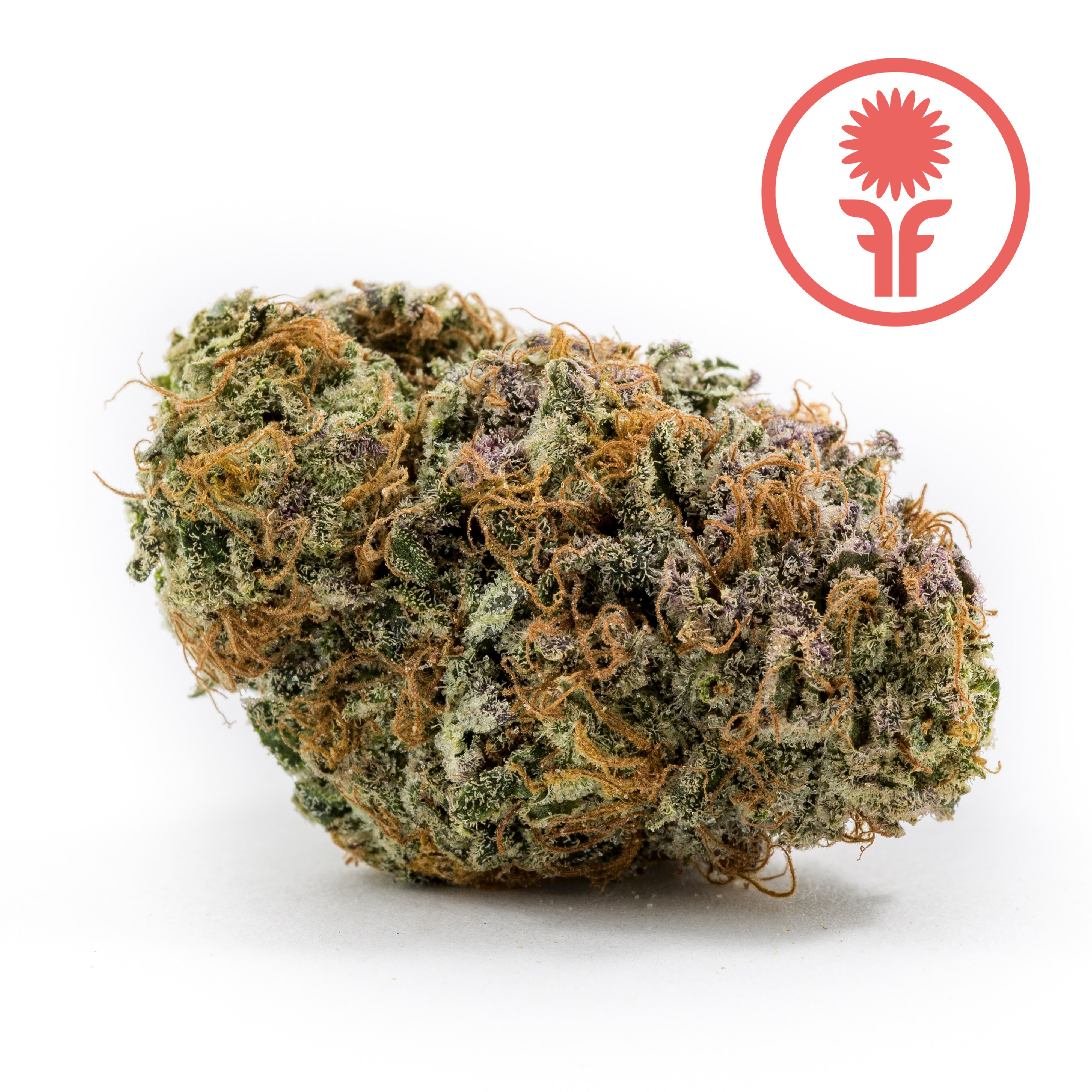 Tropical Banana Product Image
