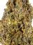 Flubber Hybrid Cannabis Strain Thumbnail