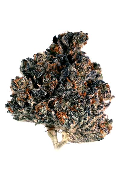 Fluffhead - Hybrid Cannabis Strain