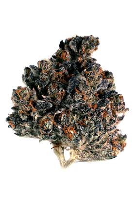 Fluffhead - Híbrida Cannabis Strain