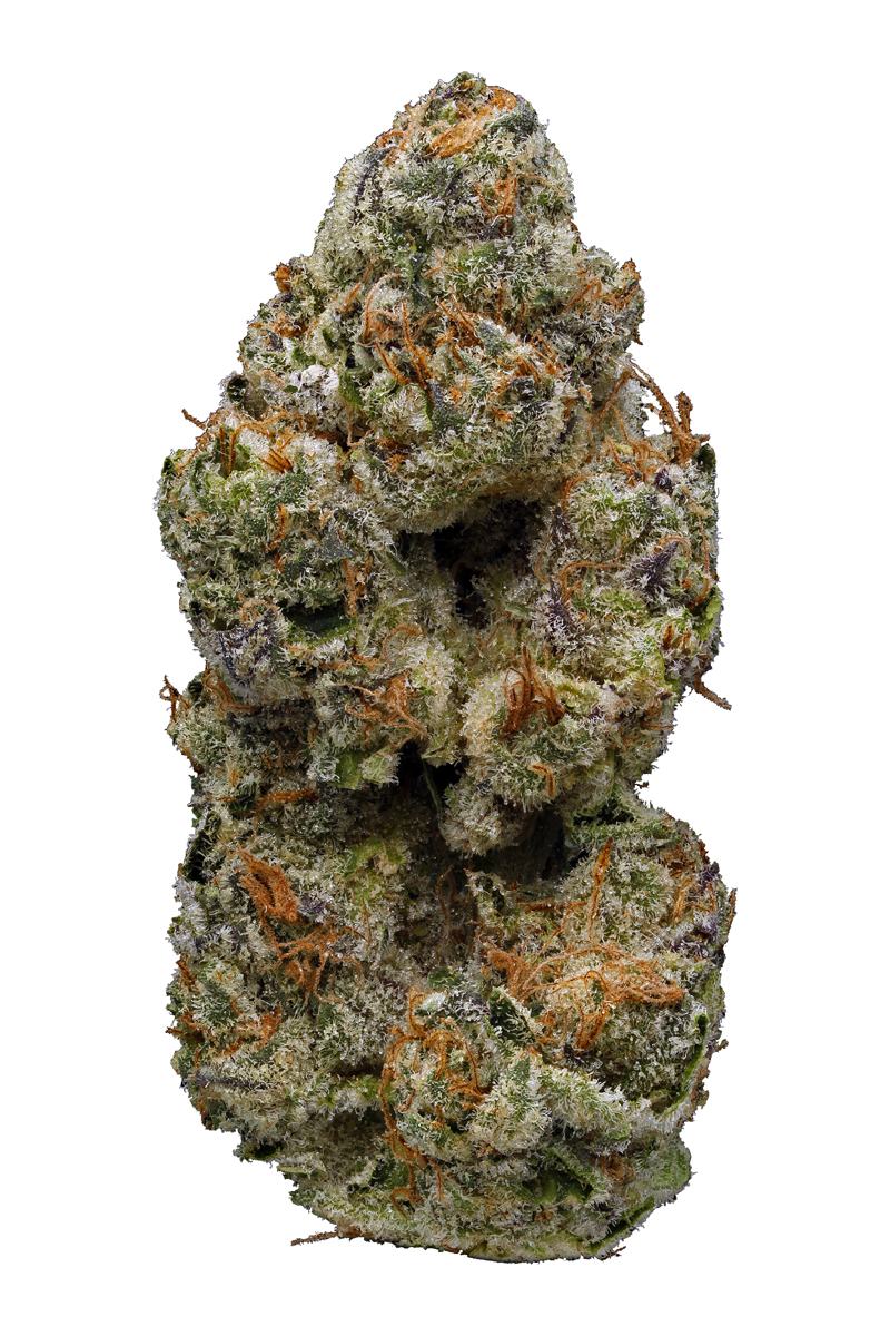 Fortune Cookies - Hybrid Cannabis Strain