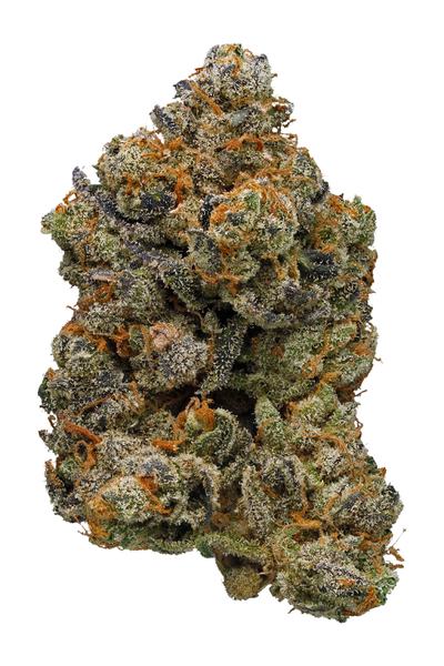 Forum X PR Cookies - Híbrida Cannabis Strain