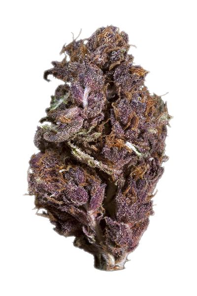 Frankenberry - Híbrida Cannabis Strain