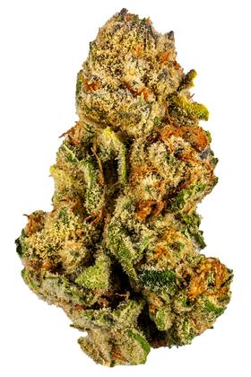 Frisco OG - Hybrid Cannabis Strain