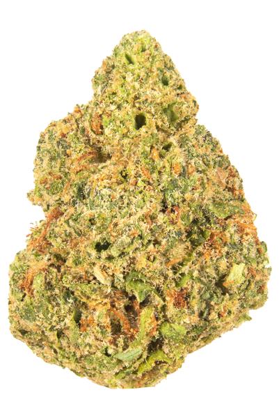 Fritter Licker - Hybrid Cannabis Strain