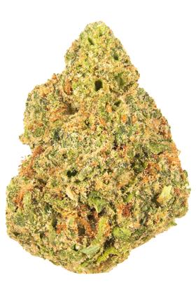 Fritter Licker - Hybrid Cannabis Strain