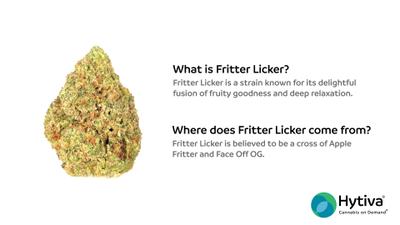 Fritter Licker - Hybrid Strain