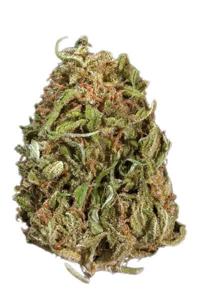 Frog Berry - Hybrid Cannabis Strain
