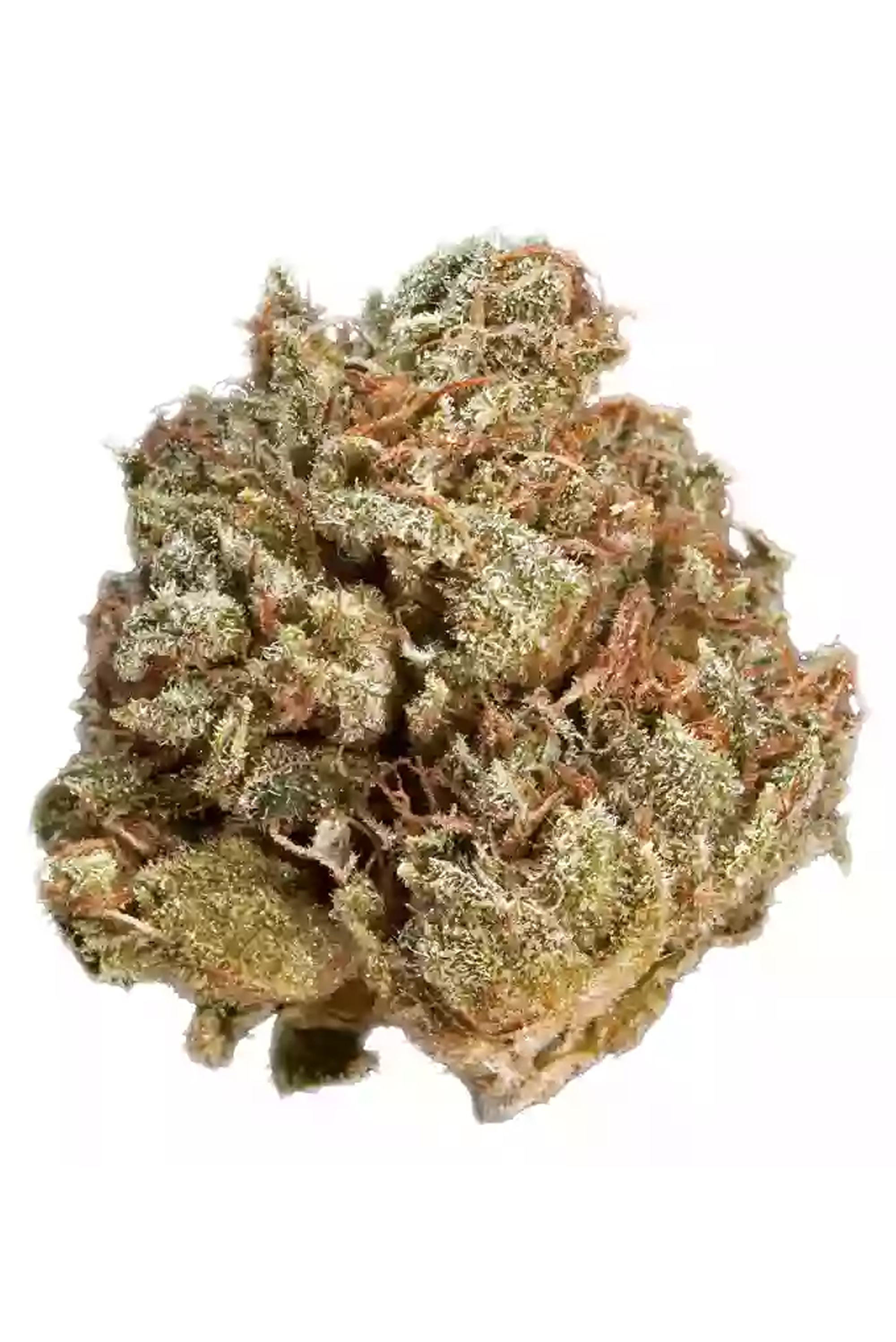 Frosty - Indica Cannabis Strain