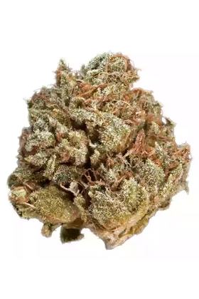 Frosty - Indica Cannabis Strain