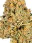 Froyo Hybrid Cannabis Strain Thumbnail