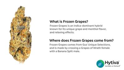 Frozen Grapes - Hybrid Strain
