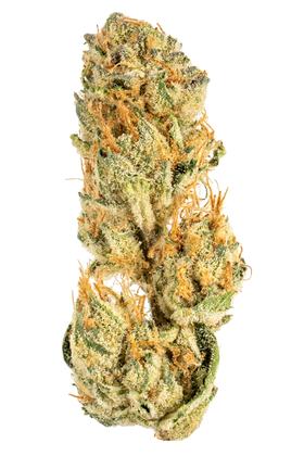 Frozen Margy - Híbrida Cannabis Strain