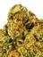 Fruit Pie Hybrid Cannabis Strain Thumbnail