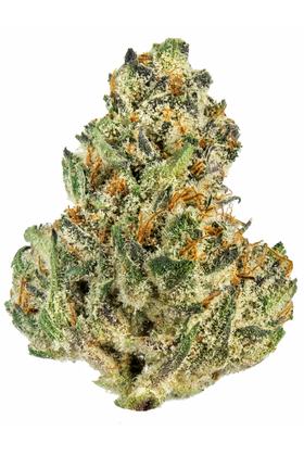Fruity P Cookies - Híbrida Cannabis Strain