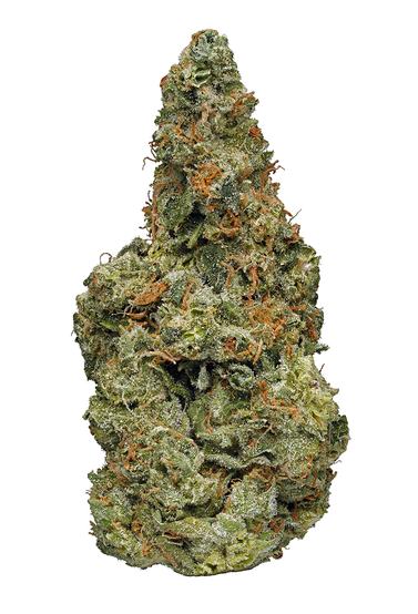 Fruity P - Hybrid Cannabis Strain