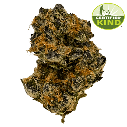 Black Garlic Black Garlic Product Image