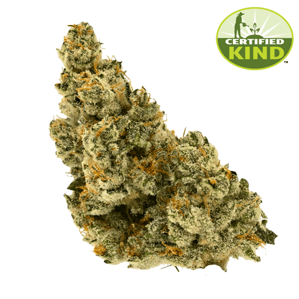 Cheetah P Cheetah P Product Image