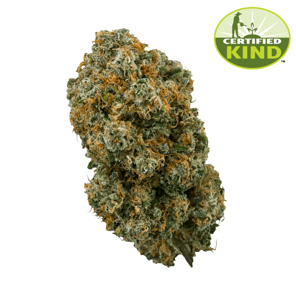 Chem Flyer Product Image