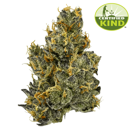 GMO GMO Product Image